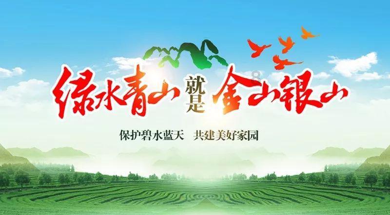 小猫钓鱼正版下载中文版